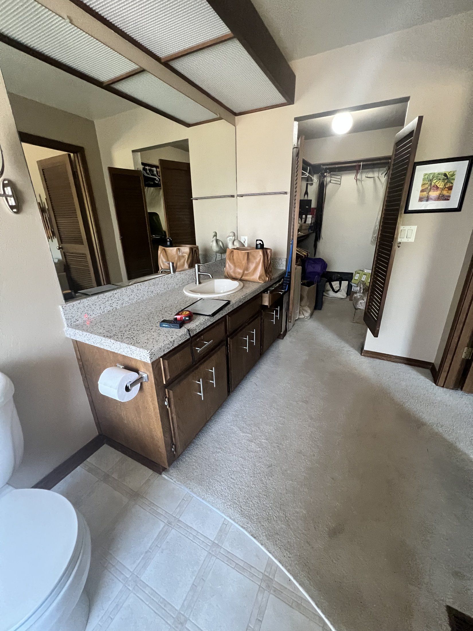 Before: dark vanity and carpeted floor in the original bathroom